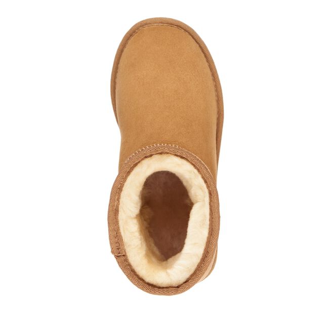 Platinum Stinger Mini Men - Chestnut||Platinum Stinger Mini pour hommes - Châtaigne