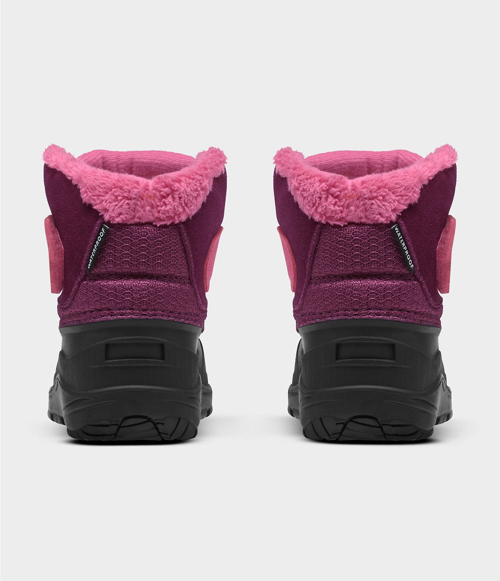 Toddler Alpenglow II - Boysenberry/TNF Black