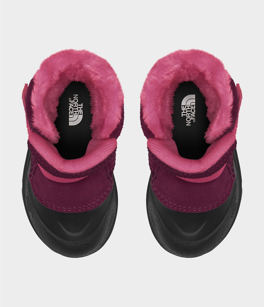 Toddler Alpenglow II - Boysenberry/TNF Black