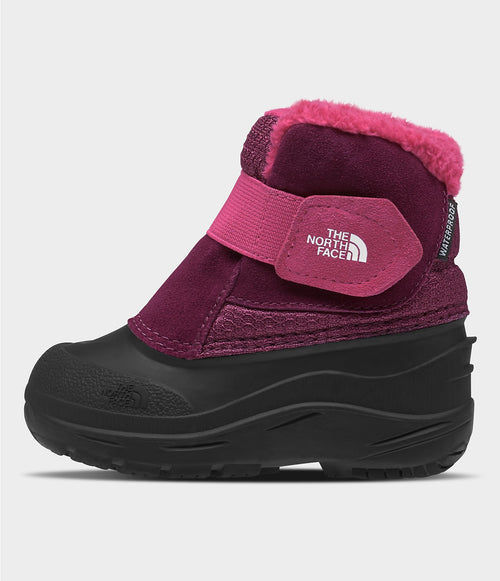 Toddler Alpenglow II - Boysenberry/TNF Black