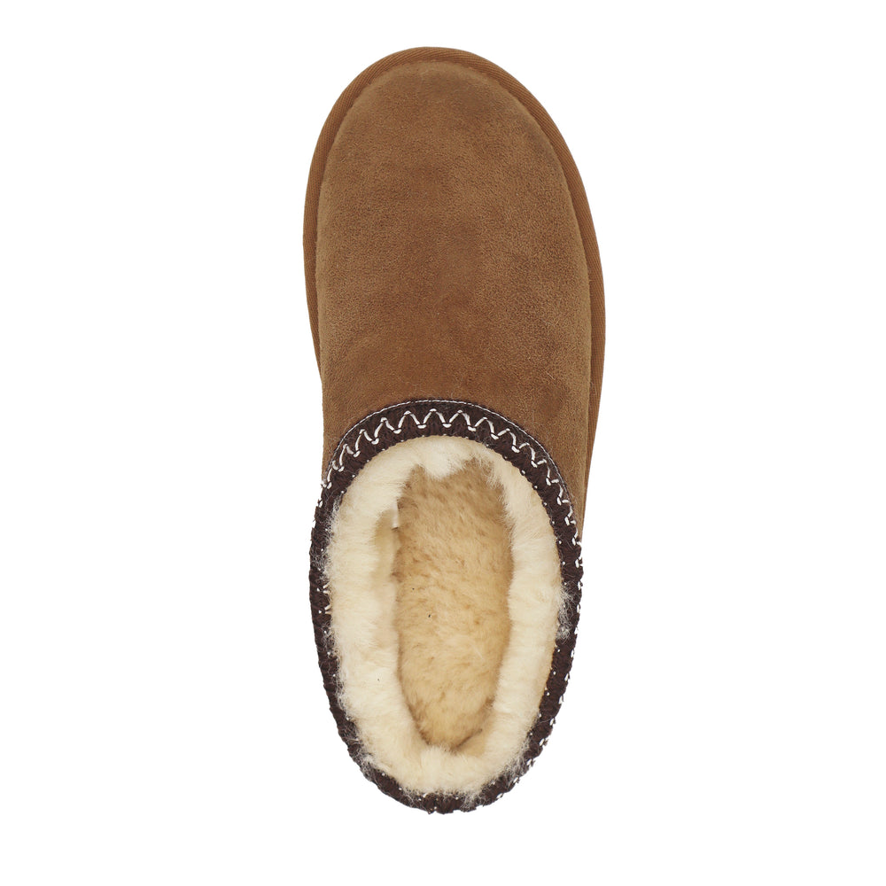 Sharky Scuff - Chestnut||Sharky Scuff - Châtaigne