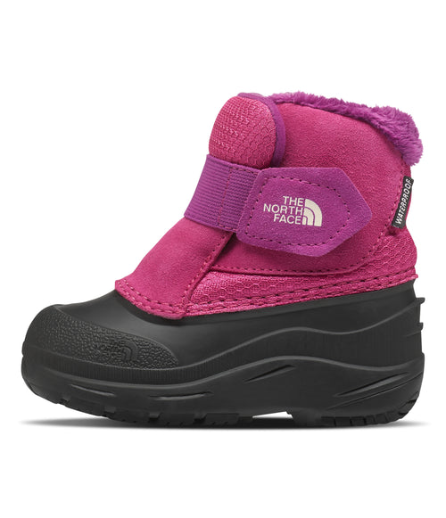 Toddler Alpenglow II - Cabaret Pink / TNF Black