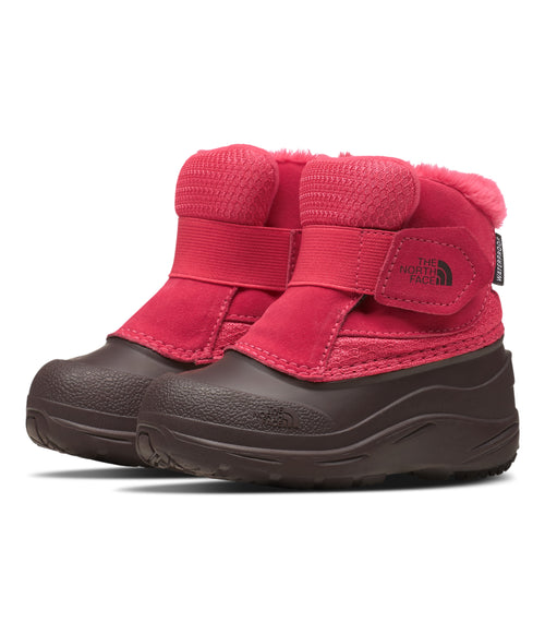 Toddler Alpenglow II - Paradise Pink / Root Brown