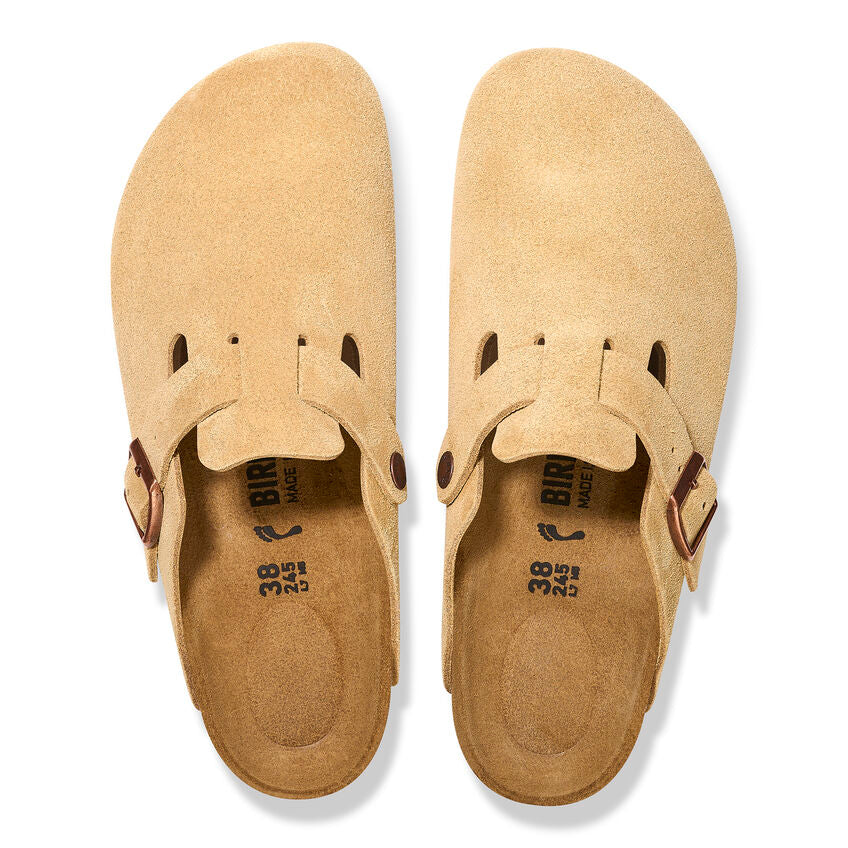 Boston - Latte Cream Suede – MyShoeShop