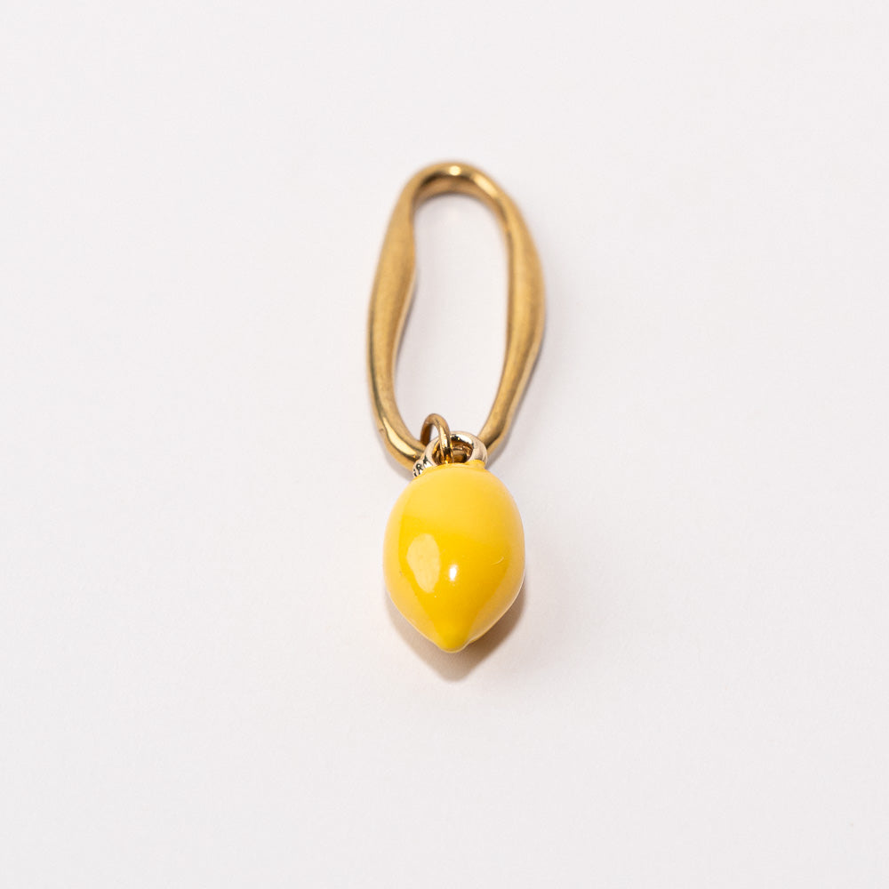 Lemon Fixed Loop Shoe Charm - Gold||Citron breloque à chaussures à glisser - Or