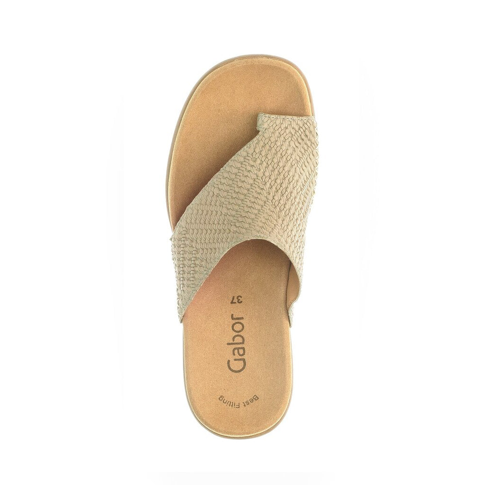 *FINAL SALE*83700-40 - Sage Leather