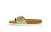 83031-49 - Green Cognac