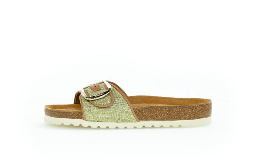 83031-49 - Green Cognac